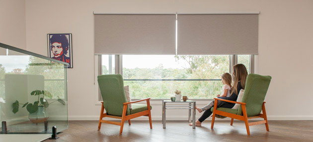 Viewscape Indoor Roller Blinds